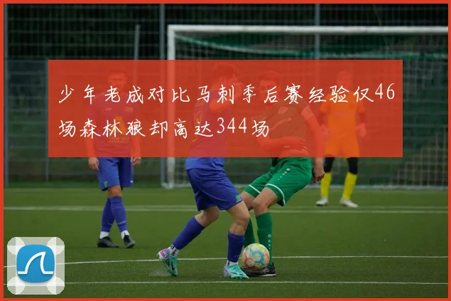 少年老成对比马刺季后赛经验仅46场森林狼却高达344场