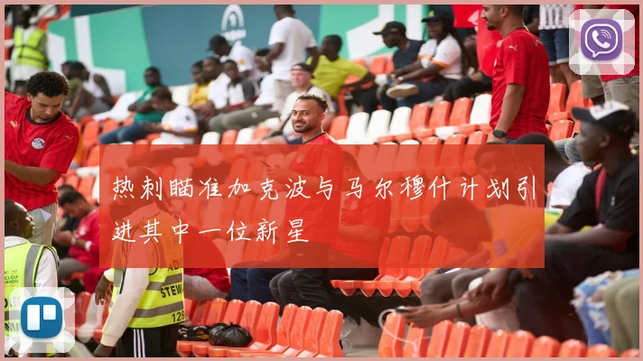 热刺瞄准加克波与马尔穆什计划引进其中一位新星