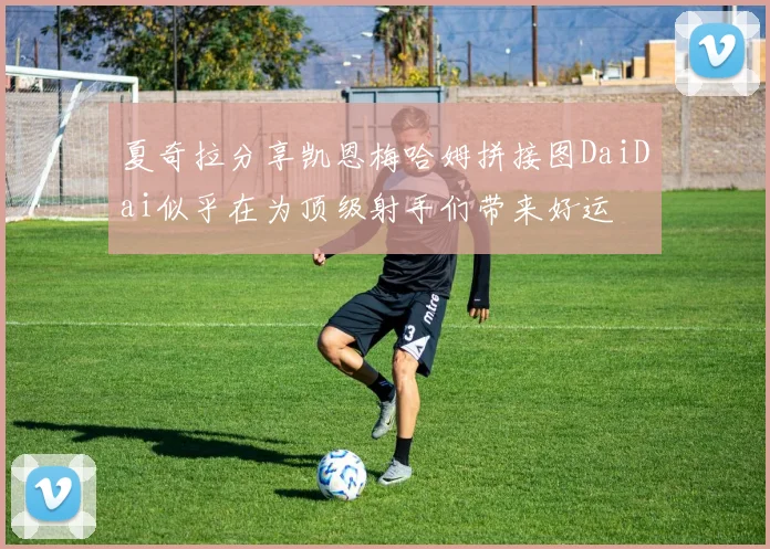 夏奇拉分享凯恩梅哈姆拼接图DaiDai似乎在为顶级射手们带来好运
